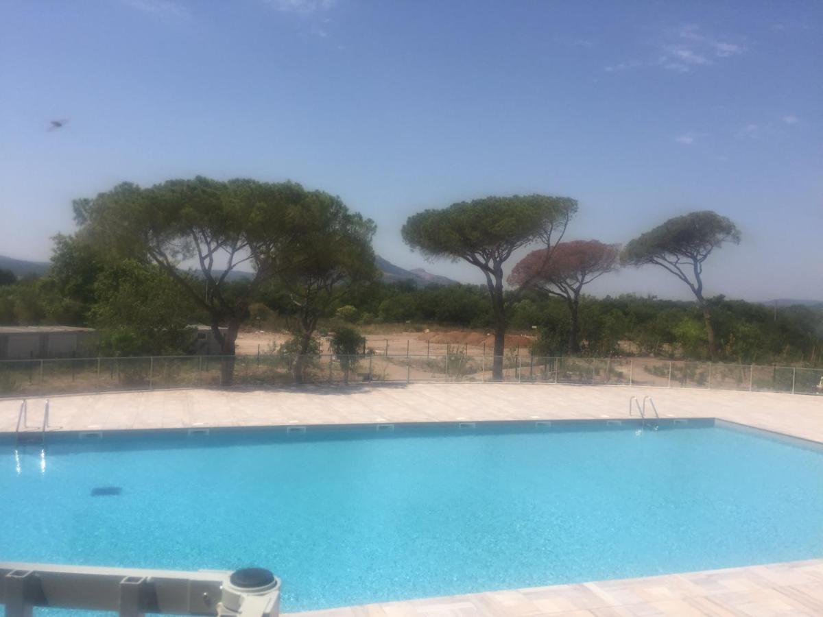 Appartement Neuf Moderne Avec Piscine Puget-sur-Argens Eksteriør billede