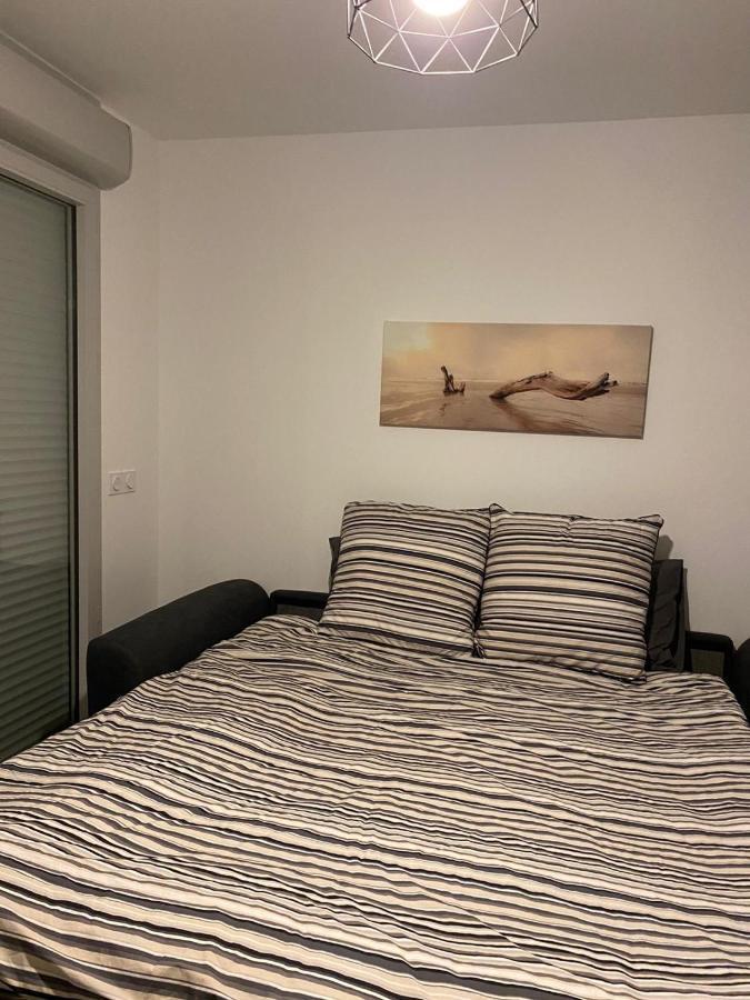 Appartement Neuf Moderne Avec Piscine Puget-sur-Argens Eksteriør billede